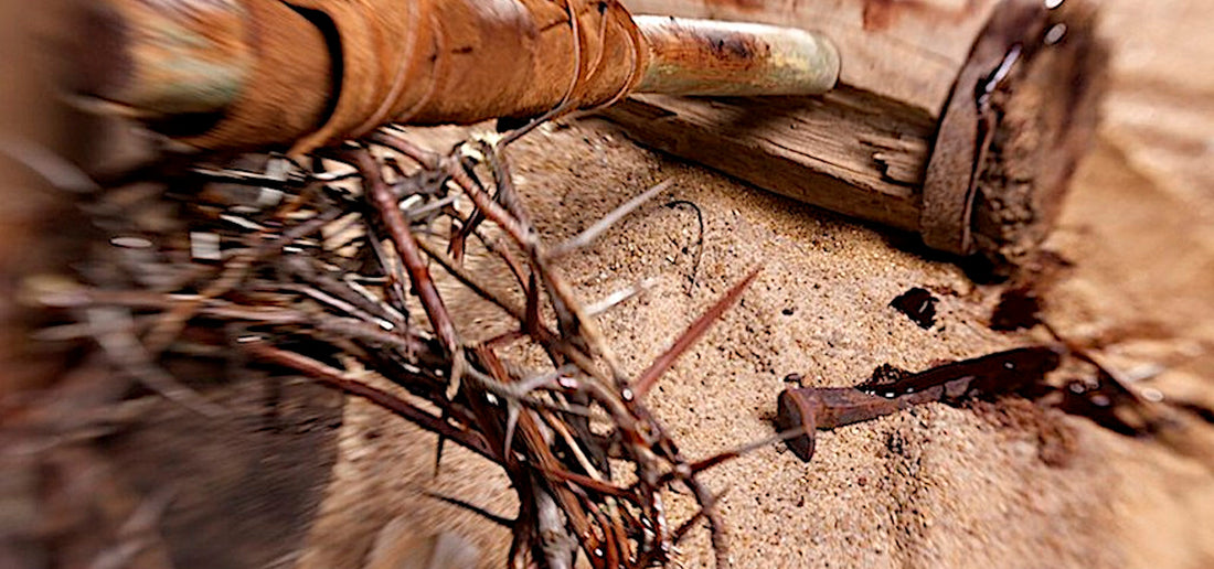 Discover How God’s Truth Transforms Your Heart & Life