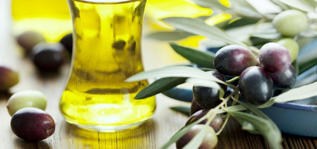 Anointing Oil in the Bible: Meaning, Power & Prophetic Application