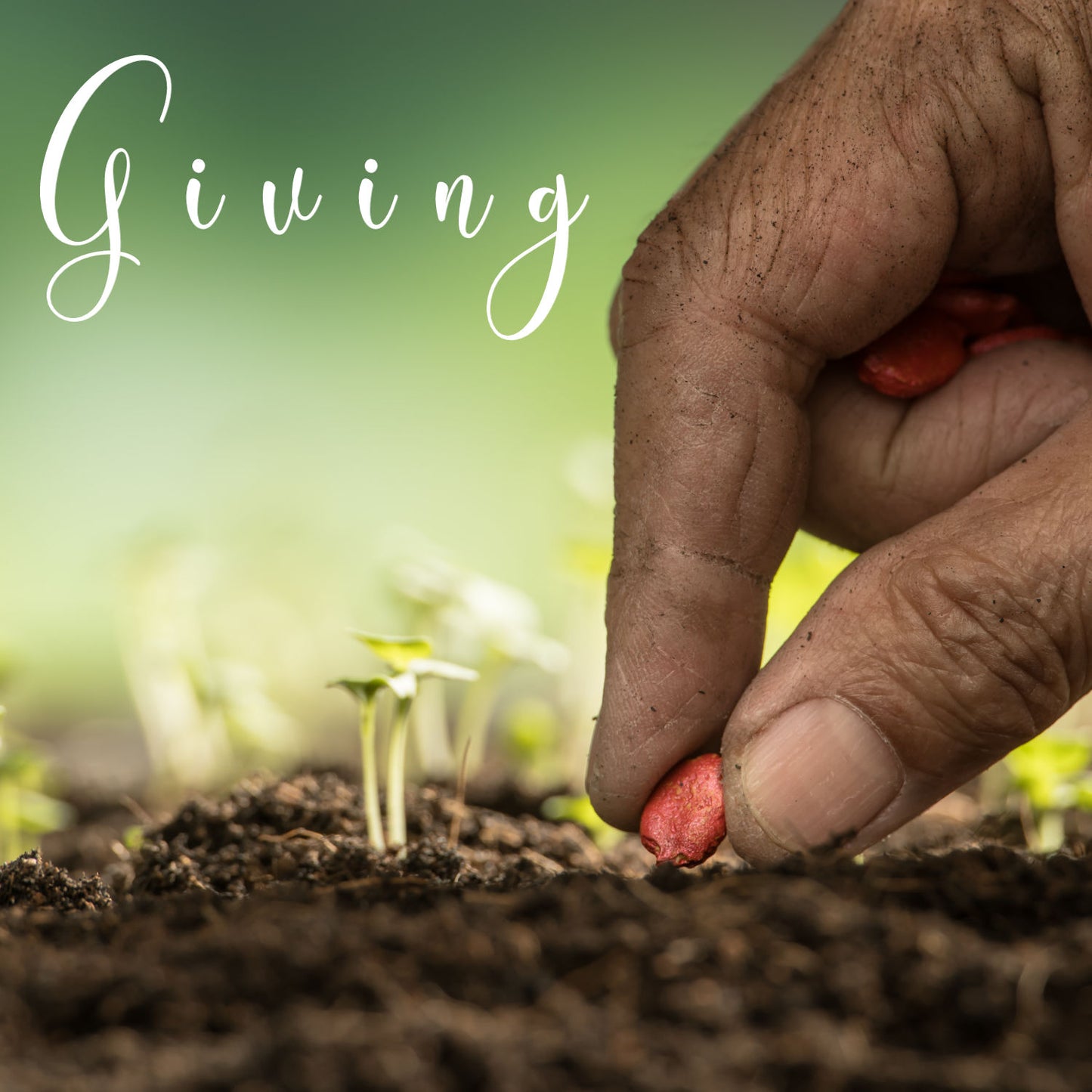 One-time Donation