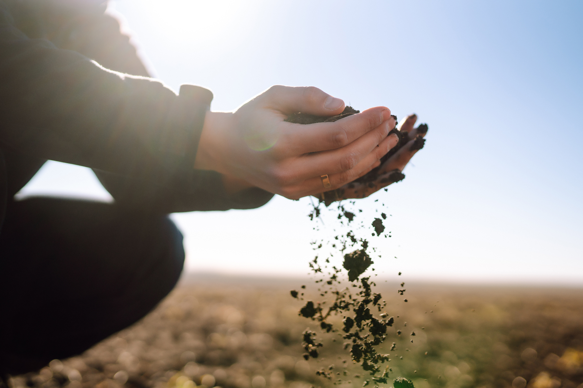 Hands releasing soil in warm backlight
