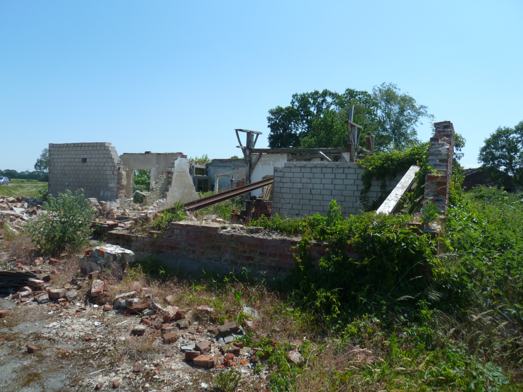 Ruins of an abandoned house — vision for a shelter home